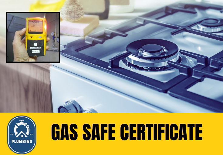 gas safe certificate Folkestone