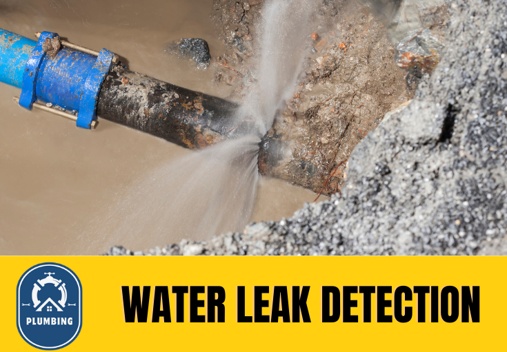 leak detection Folkestone